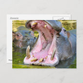 Schließung des Nilpferds Postkarte (Vorne/Hinten)