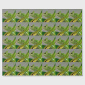 Schließung des verschleierten Chamäleons unter den Geschenkpapier (Flach)