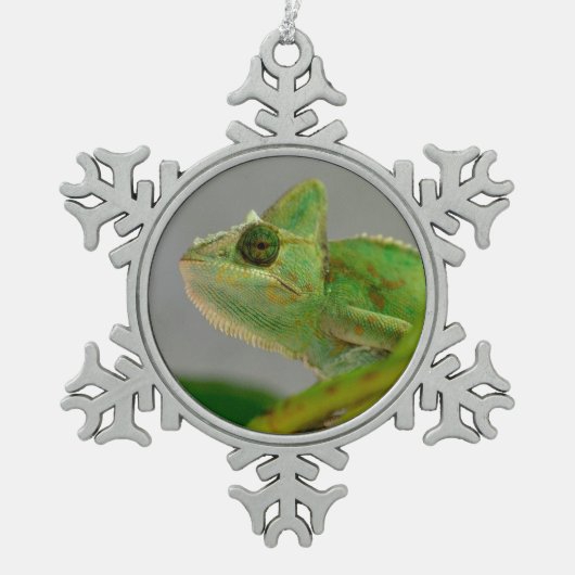 Schließung des verschleierten Chamäleons unter den Schneeflocken Zinn-Ornament (Vorderseite)