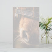 Schließung einer Niedlichen braunen Pferdedose Briefpapier (Stehend Vorderseite)