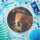 Schließung einer Niedlichen braunen Pferdedose Pappteller (Party)