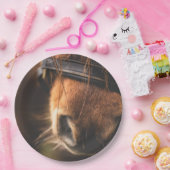 Schließung einer Niedlichen braunen Pferdedose Pappteller (Party)