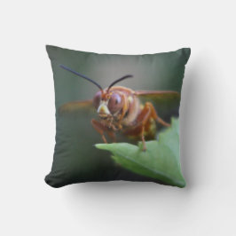 Schließung eines Cicada-Killers Kissen