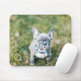 Schließung eines französischen Bulldog Mousepad