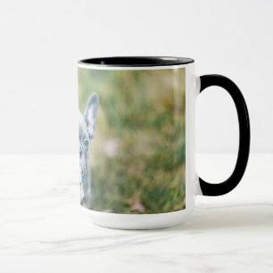 Schließung eines französischen Bulldog Tasse