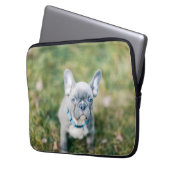 Schließung eines französischen Bulldoggen Laptopschutzhülle (Vorderseite Links)
