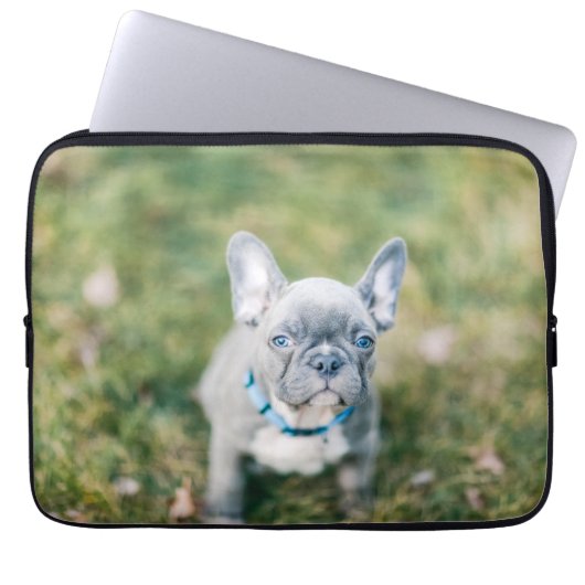 Schließung eines französischen Bulldoggen Laptopschutzhülle (Vorderseite)