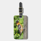 Schließung eines handlichen schwarz-geheuerten Gro Gepäckanhänger (Vorderseite vertikal)