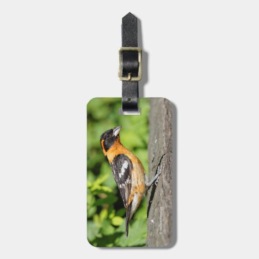 Schließung eines handlichen schwarz-geheuerten Gro Gepäckanhänger (Vorderseite vertikal)