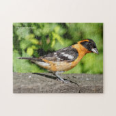 Schließung eines handlichen schwarz-geheuerten Gro Puzzle (Horizontal)