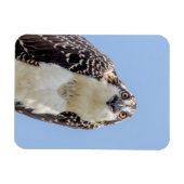 Schließung eines Jugendorgys Magnet (Horizontal)