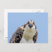 Schließung eines Jugendorgys Postkarte (Vorne/Hinten)