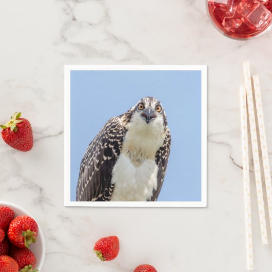 Schließung eines Jugendorgys Serviette (Beispiel)