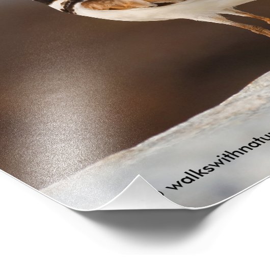 Schließung eines Killers Fotodruck (Ecke)