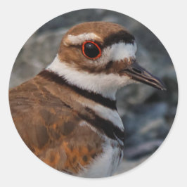 Schließung eines Killers Runder Aufkleber