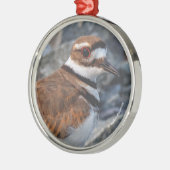 Schließung eines Killerschiffs auf den Felsen Ornament Aus Metall (Links)