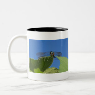 Schließung eines Libellen gegen einen hellblauen H Zweifarbige Tasse