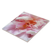 Schließung von blassrosa Peonies Fliese (Seite)