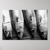 Schließung von Fischen in Schwarzweiß Poster (Vorne)
