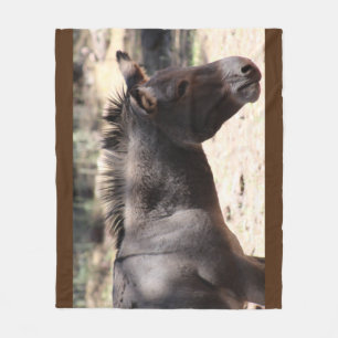 Schließung von Mule - Arizona Fleecedecke