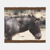 Schließung von Mule - Arizona Fleecedecke (Vorderseite (Horizontal))