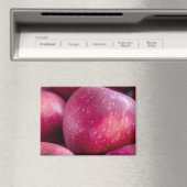 Schließung von Roten Äpfeln Magnet (In Situ (Geschirrspüler))