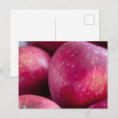 Schließung von Roten Äpfeln Postkarte (Vorne/Hinten)