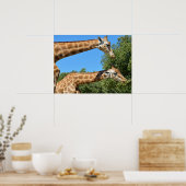 Schließung von zwei Giraffen Poster (Küche)