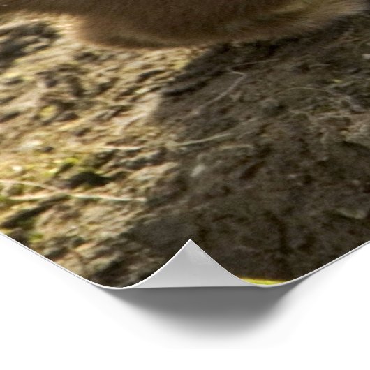 Schliff, Kurz Poster (Ecke)