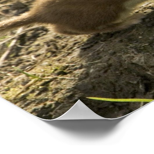 Schliff, Kurz Poster (Ecke)