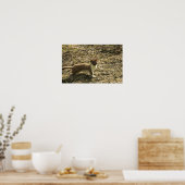 Schliff, Kurz Poster (Küche)