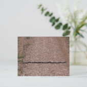 Schlingnatter Postkarte (Stehend Vorderseite)