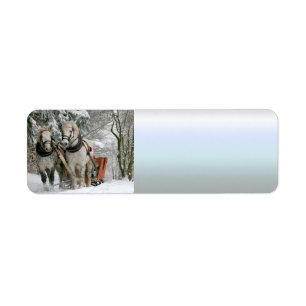 Schlitten+Reiten, Schnee, Wald, Pferd, Winter, Wei