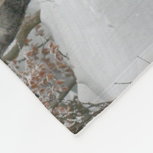 Schlitten+Reiten, Schnee, Wald, Pferd, Winter, Wei Fleecedecke (Ecke)