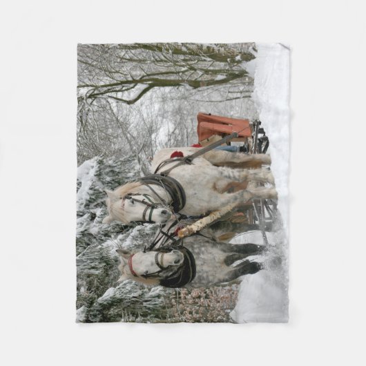 Schlitten+Reiten, Schnee, Wald, Pferd, Winter, Wei Fleecedecke (Vorderseite)