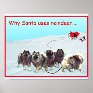 Schlitten-Team-Plakat Poster