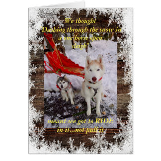 Schlittenfahrt Husky