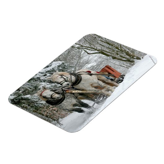 Schlittenfahrt im Winter Wunderland Magnet (Linke Seite)