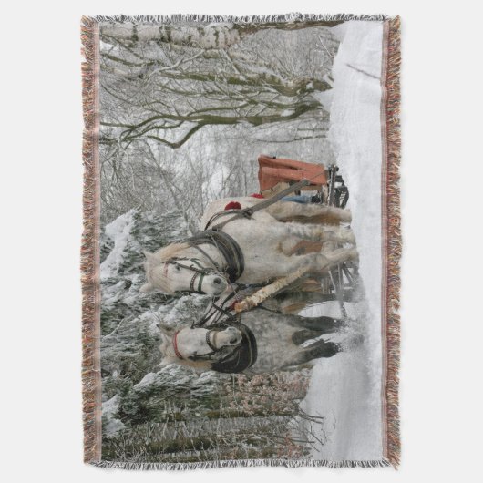 Schlittenfahrt, Schnee, Wald, Pferd, Winter, weiß, Decke (Vorderseite Vertikal)