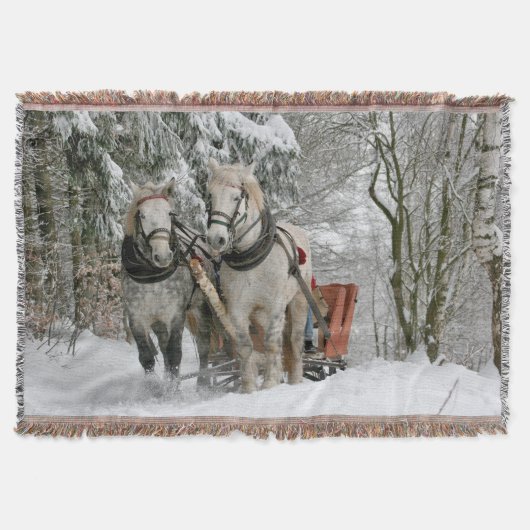 Schlittenfahrt, Schnee, Wald, Pferd, Winter, weiß, Decke (Vorderseite)