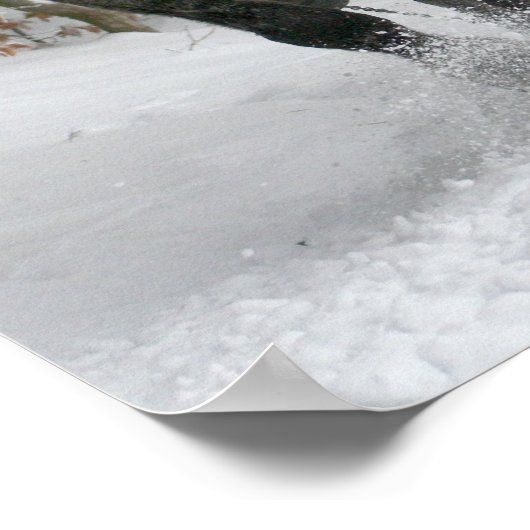 Schlittenfahrt, Schnee, Wald, Pferd, Winter, weiß, Poster (Ecke)