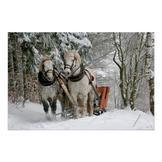 Schlittenfahrt, Schnee, Wald, Pferd, Winter, weiß, Poster (Vorderseite)