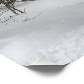 Schlittenfahrt, Schnee, Wald, Pferd, Winter, weiß, Poster (Ecke)