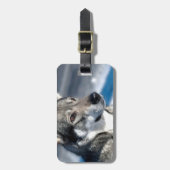 Schlittenhund im Schnee-Gepäckanhänger Gepäckanhänger (Vorderseite vertikal)