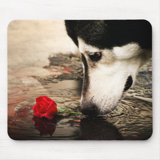 Schlittenhund-und Rosen-Fotografie Mousepad (Vorne)