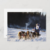 Schlittenhunde in Alaska Postkarte (Vorne/Hinten)