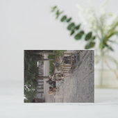 Schlittenhundeteam in Denali, Alaska Postkarte (Stehend Vorderseite)