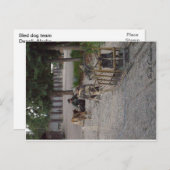 Schlittenhundeteam in Denali, Alaska Postkarte (Vorne/Hinten)