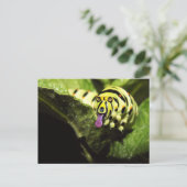 Schlobber Postkarte (Stehend Vorderseite)