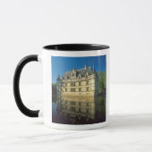 Schloss Azay-le-Rideau, Indre-et-Loire, Tasse (Links)